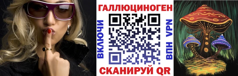 Галлюциногенные грибы Psilocybe  Старая Русса 